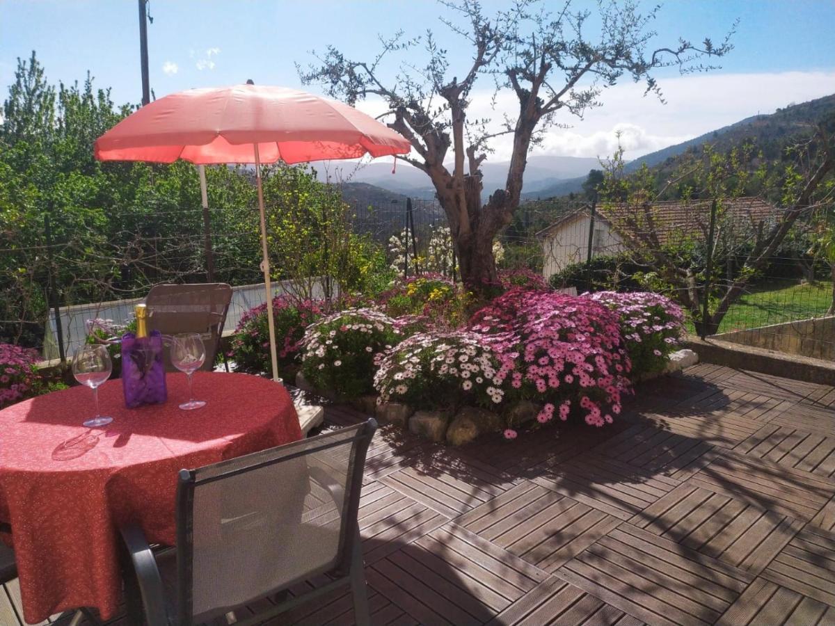 Studio le romantique à 20 kms de Nice Bendéjun Exterior foto