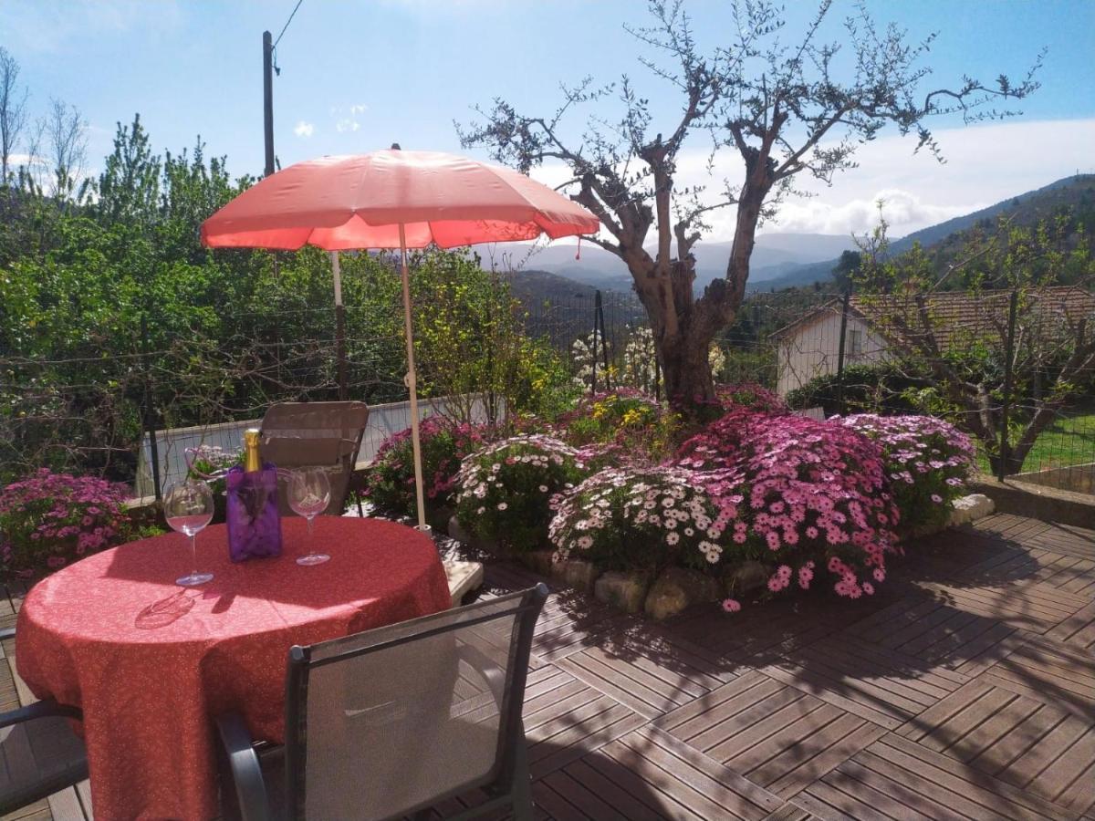 Studio le romantique à 20 kms de Nice Bendéjun Exterior foto